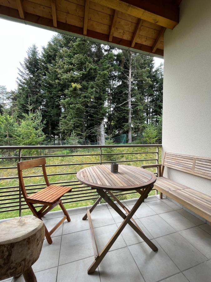 "Les Oiseaux" Avec Terrasse, Parking, Duplex Apartment Льо Шамбон-сюр-Линьон Екстериор снимка